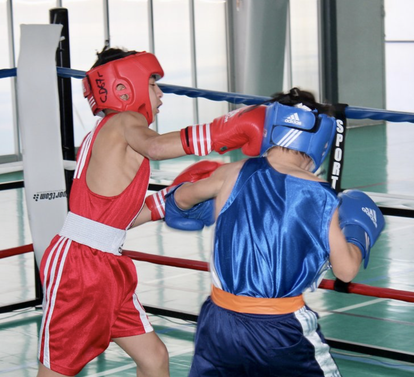 La boxe, un sport éducatif ? Reportage dans un cours de boxe pour