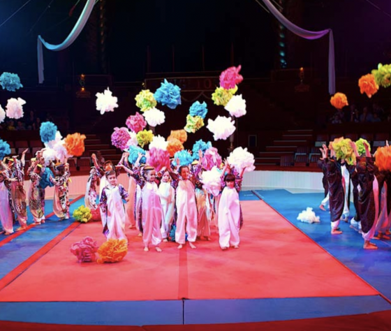 Anniversaire 100% cirque - 4/12 ans - Paris 13è