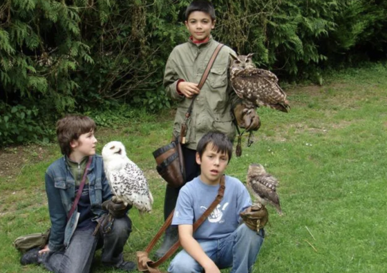 Anniversaire avec des faucons - 8/14 ans - Luzarches 95