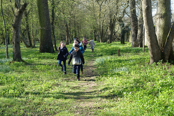 Anniversaire Chasse au trésor à domicile - 3/16 ans - IDF et Oise