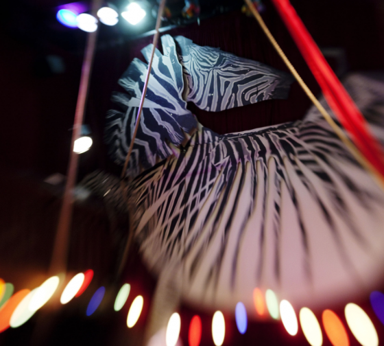 Anniversaire cirque et maquillage - 2/14 ans - Paris 11è