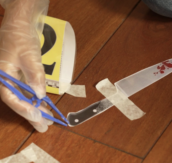 Anniversaire "dans la peau de la police scientifique" à domicile - 5/12 ans - 69 Lyon