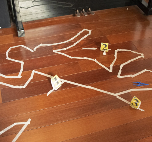 Anniversaire "dans la peau de la police scientifique" à domicile - 5/12 ans - 74 Annecy