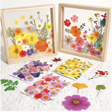 Anniversaire découvrir l’art des fleurs pressées - Paris 18è