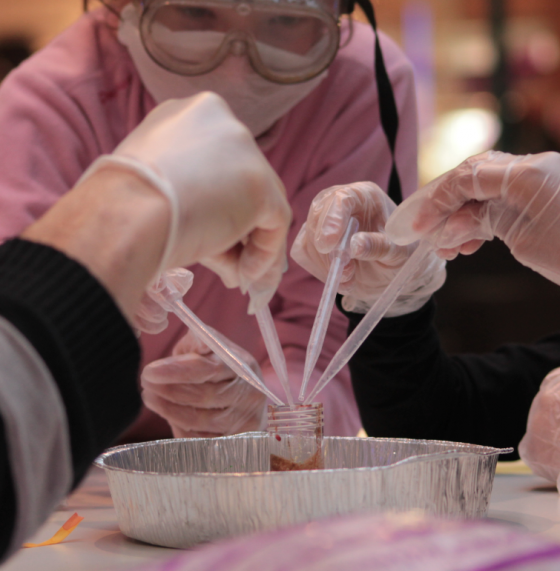 Anniversaire expériences scientifique à domicile - 5/12 ans - Toulouse 31