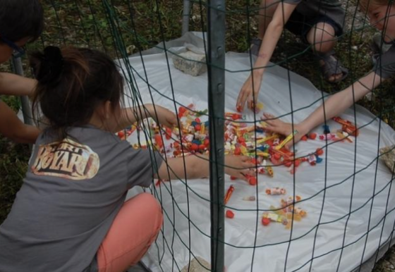 Anniversaire "fort boyard" ! à domicile - 7/12 ans - 31 Toulouse