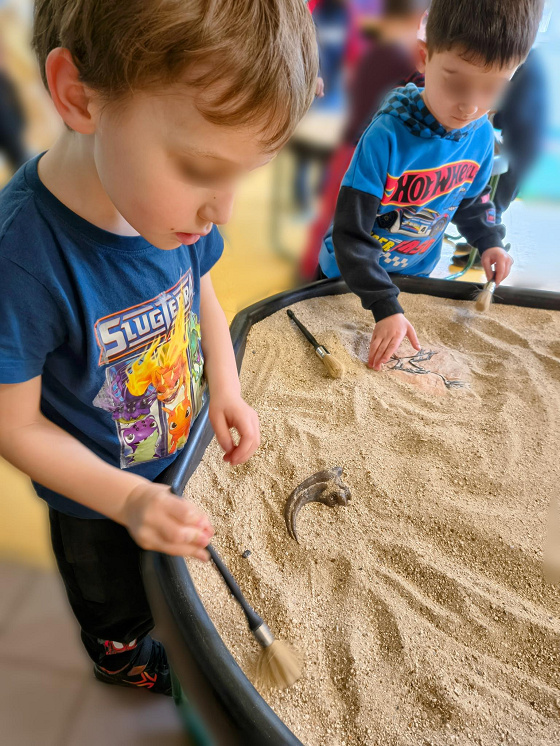 Anniversaire fouilles à domicile&nbsp;: Dinosaures et fossiles - 3/12 ans -