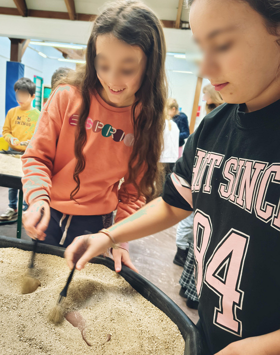 Anniversaire fouilles à domicile&nbsp;: Dinosaures et fossiles - 3/12 ans -