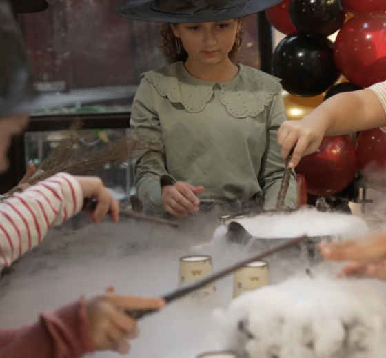 Anniversaire Harry Potter et ses potions à domicile - 5/15 ans - Clermont Ferrand 63