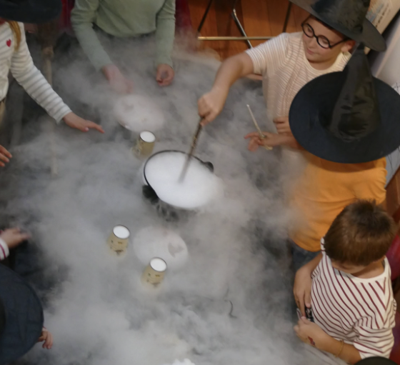 Anniversaire Harry Potter et ses potions à domicile - 5/15 ans - Clermont Ferrand 63