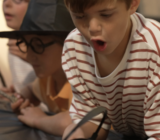 Anniversaire Harry Potter et ses potions à domicile - 5/15 ans - Clermont Ferrand 63