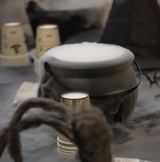 Anniversaire Harry Potter et ses potions à domicile - 5/15 ans - Clermont Ferrand 63