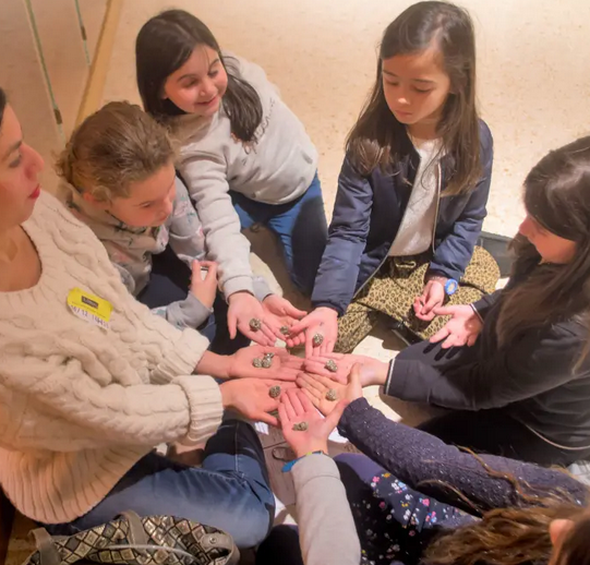 Anniversaire jeu de piste "Le vol des joyaux de la Couronne" au Louvre - 7/12 ans - Paris 1er