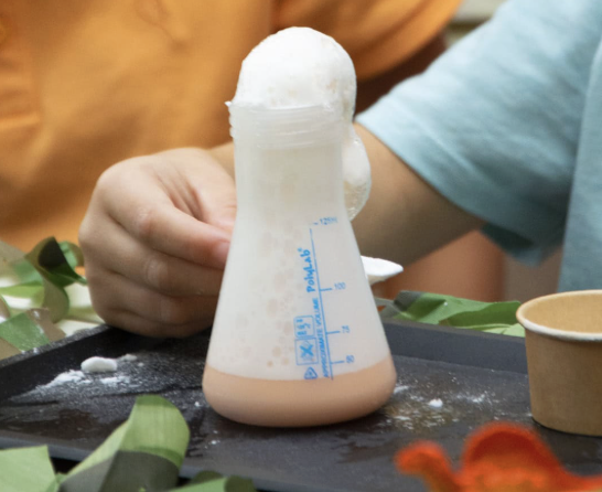 Anniversaire le monde des dinosaures à domicile - 5/12 ans - 17 La Rochelle