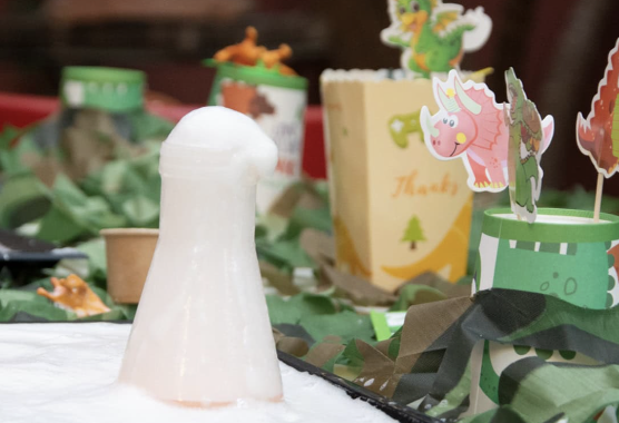 Anniversaire le monde des dinosaures à domicile - 5/12 ans - 74 Annecy