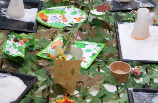 Anniversaire le monde des dinosaures à domicile - 5/12 ans - Clermont Ferrand