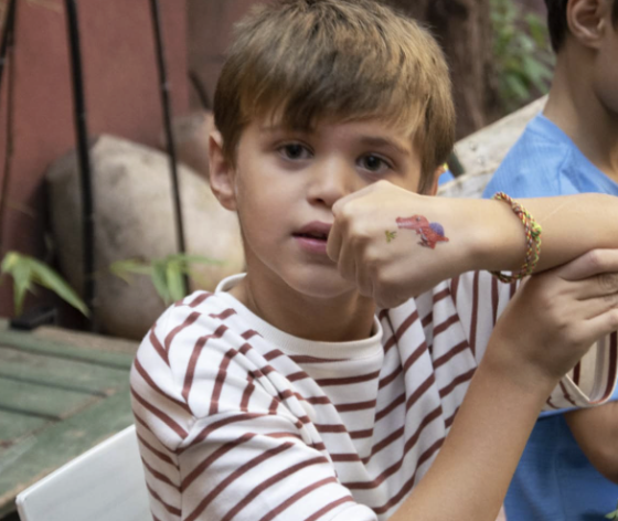 Anniversaire le monde des dinosaures à domicile - 5/12 ans - Nancy