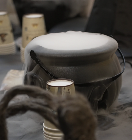 Anniversaire Mercredi Addams à domicile - 5/14 ans - 74 Annecy