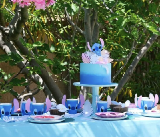 Anniversaire Stitch à domicile - 5/12 ans - 33 Bordeaux