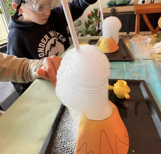 Anniversaire Stitch à domicile - 5/12 ans - 34 Montpellier