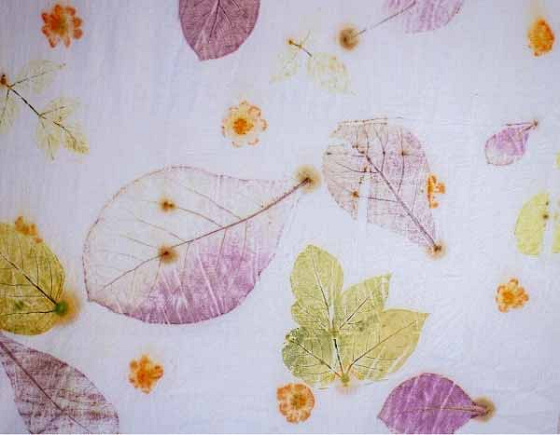 Anniversaire Tataki Zomé à l’atelier - 6/15 ans - Rouen