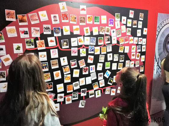 Anniversaire testez vos 5 sens 2h - 8/78 ans - Paris 18è