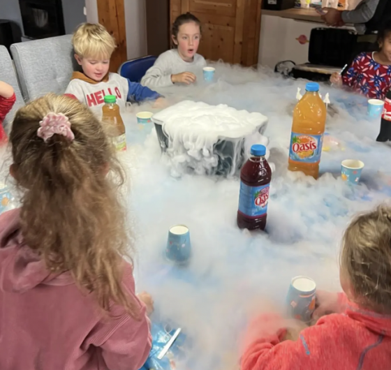 Anniversaire Vaiana à domicile - 5/12 ans - 33 Bordeaux