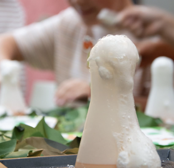 Anniversaire Vaiana à domicile - 5/12 ans - 33 Bordeaux