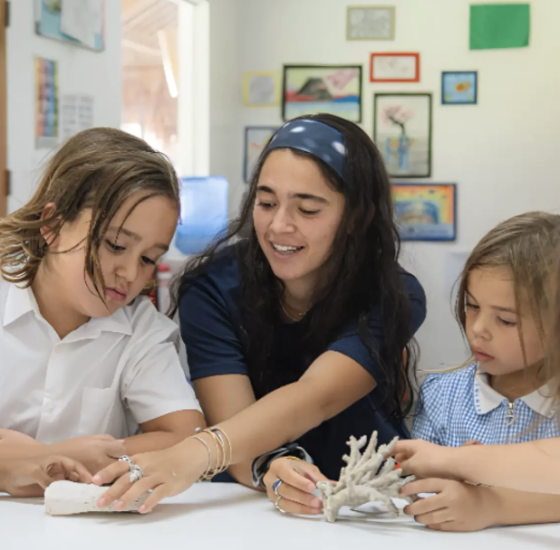 Anniversaire Vaiana à domicile - 5/12 ans - 33 Bordeaux