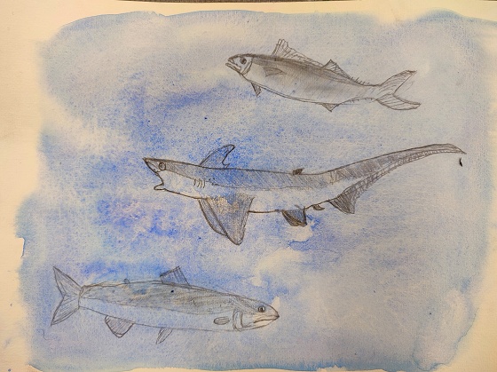 Atelier art plastique 7-13 ans - Paris 11è