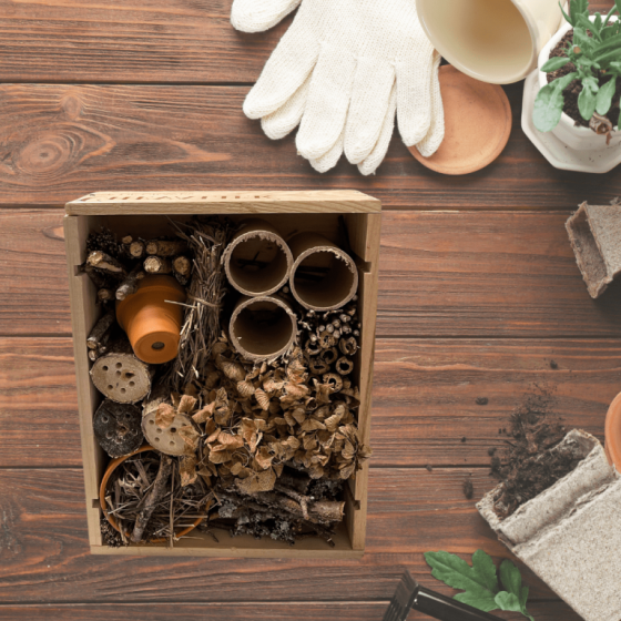 Atelier créatif 1/2j - 4/12 ans - 33 Begles