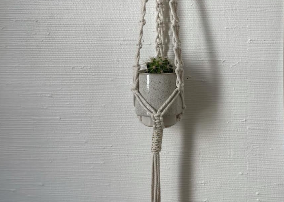 Atelier double Porte-Plante en macramé - 10/99 ans - Toulouse 31