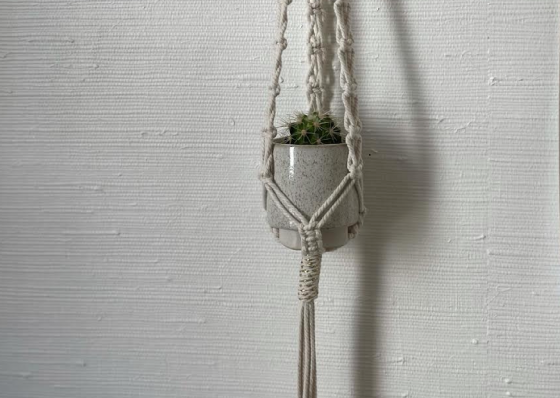 Atelier double Porte-Plante en macrame - Toulouse 31