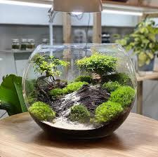 Atelier Moussarium- 5/99ans