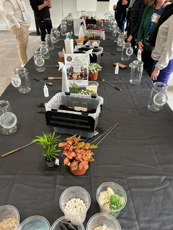 Atelier Moussarium- 5/99ans