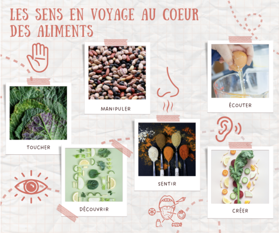 Atelier Parent-Enfant : Voyage sensoriel aux pays des aliments