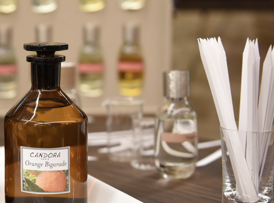 Atelier parfum privé - 6/11 ans - Paris 4è