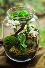 Atelier Terrarium- 5/99ans