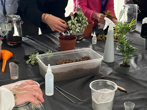 Atelier Terrarium- 5/99ans