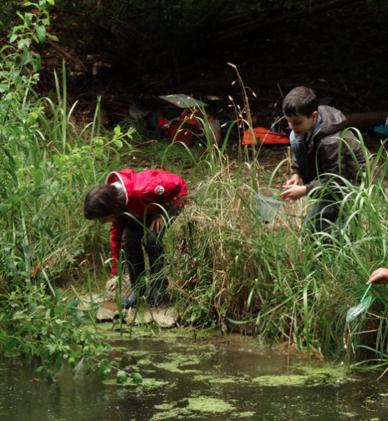 Ateliers découverte nature 8/12 ans - 3h - 92 Levallois