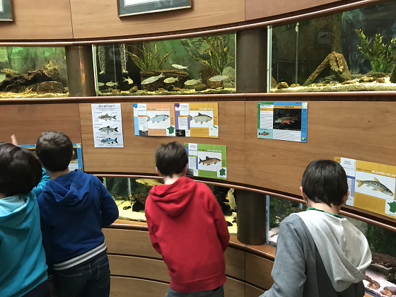 Ateliers Nature (en Famille) - 7/99 ans - Levallois 92