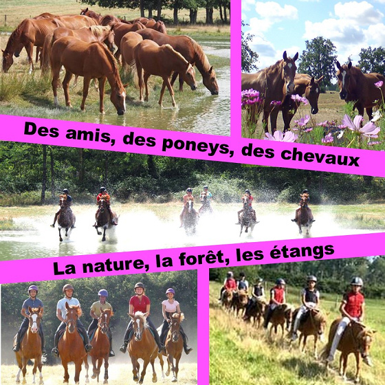 Colonie de vacances - 6/14 ans - Ferme d’Otefond