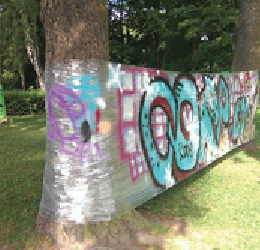 Graffiti chez vous - 9/16 ans