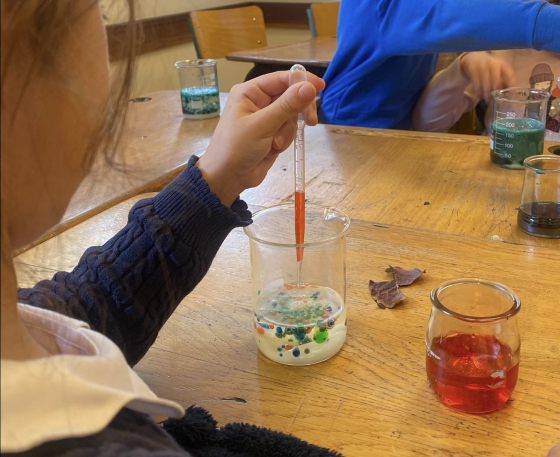 Les petites scientifiques Montessori 3/5ans 1j- Le Chesnay 78