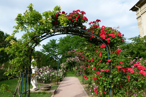 Parcours jeu au Jardin des plantes - Les graines millénaires