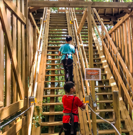 Stage Accrobranche 1 Jours 6 12 Ans St Germain En Laye 78 Atelier Enfant Yvelines 78