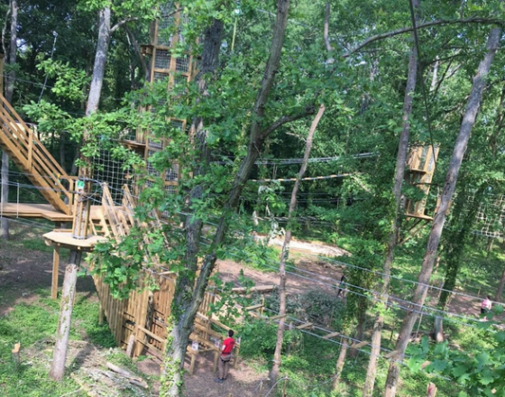 Stage Accrobranche 1 Jours 6 12 Ans St Germain En Laye 78 Atelier Enfant Yvelines 78