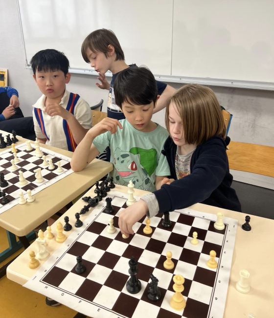 Stage d’échecs 1j - 5/12 ans - Paris 16è