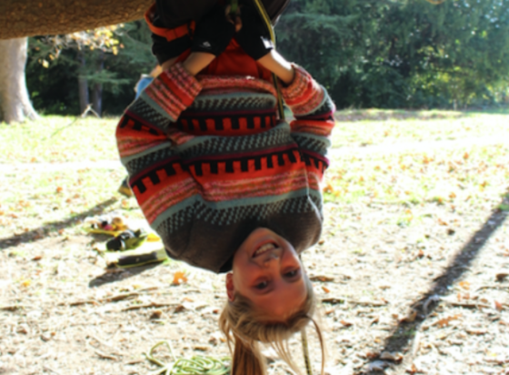 Stage danse dans les arbres 3j - 8/12 ans - 34 Montpellier