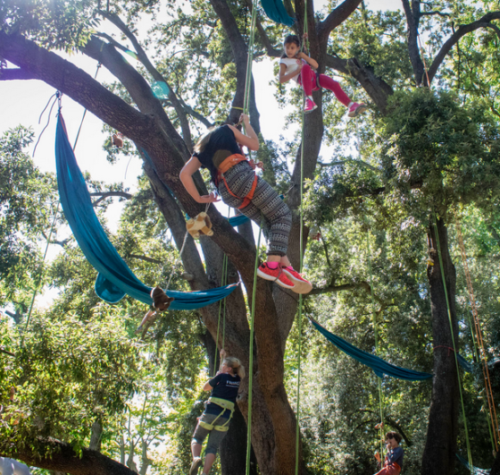 Stage danse dans les arbres 3j - 8/12 ans - 34 Montpellier